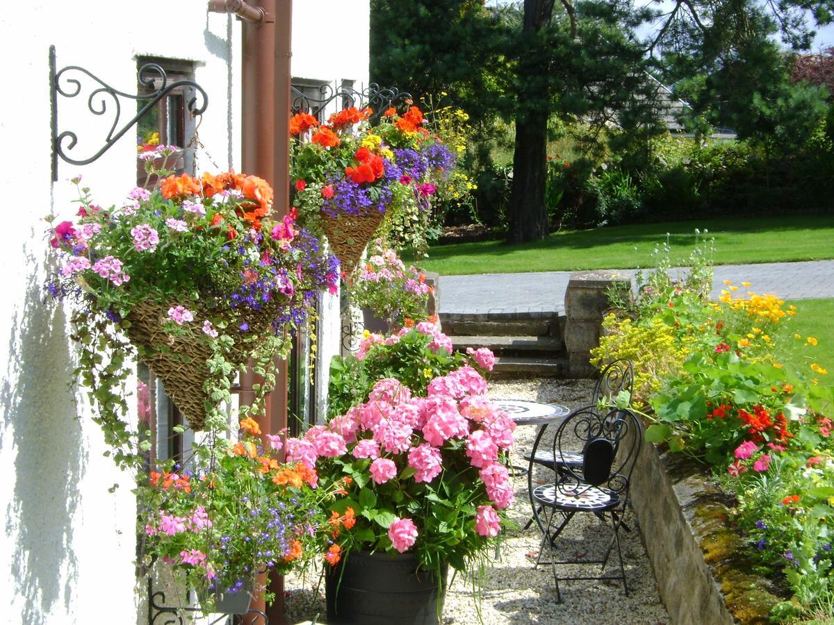 Celyn Villa Bed And Breakfast Холиуэлл Экстерьер фото