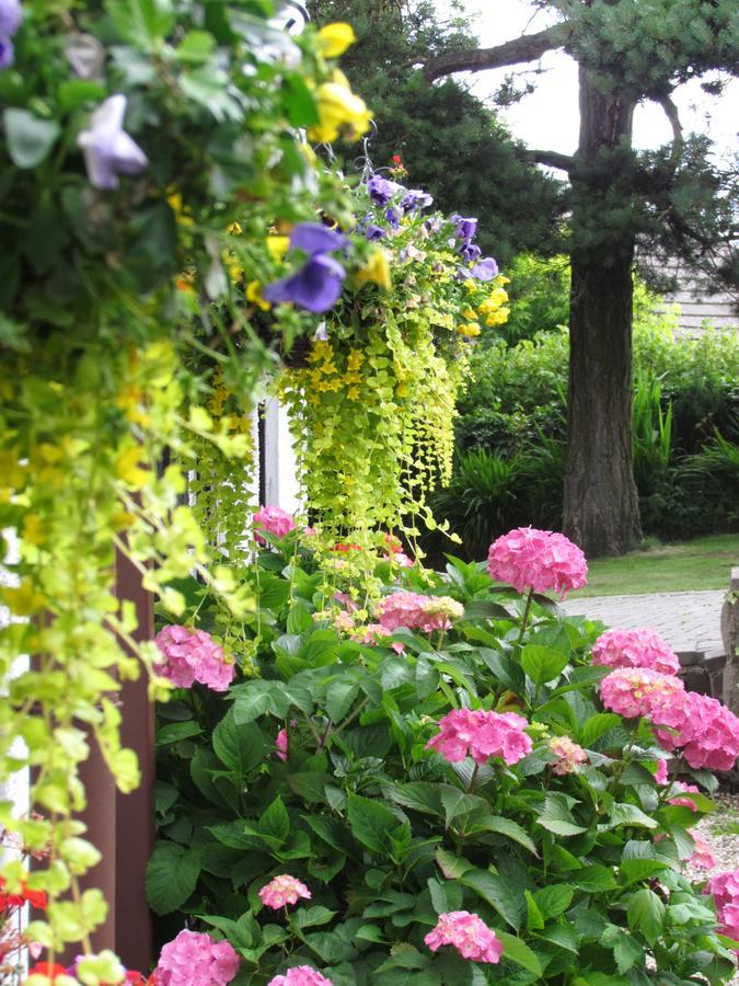 Celyn Villa Bed And Breakfast Холиуэлл Экстерьер фото